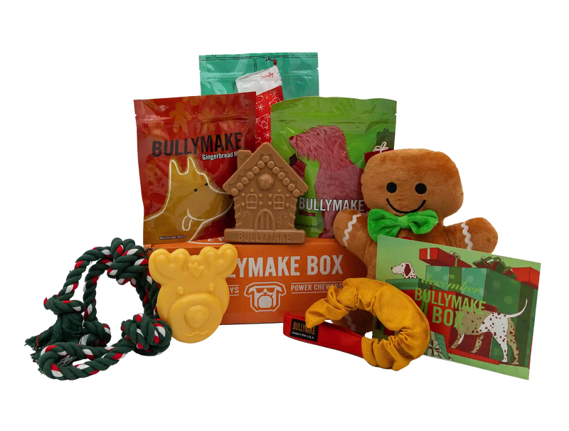 The December Bullymake Box