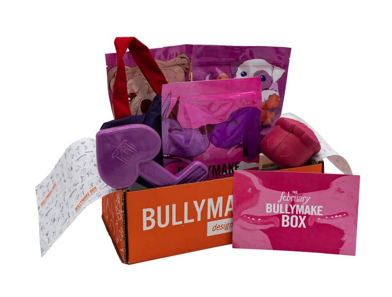 The February Bullymake Box