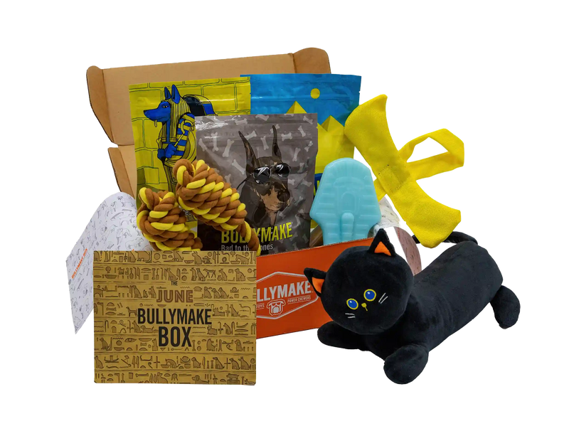 The June Bullymake Box