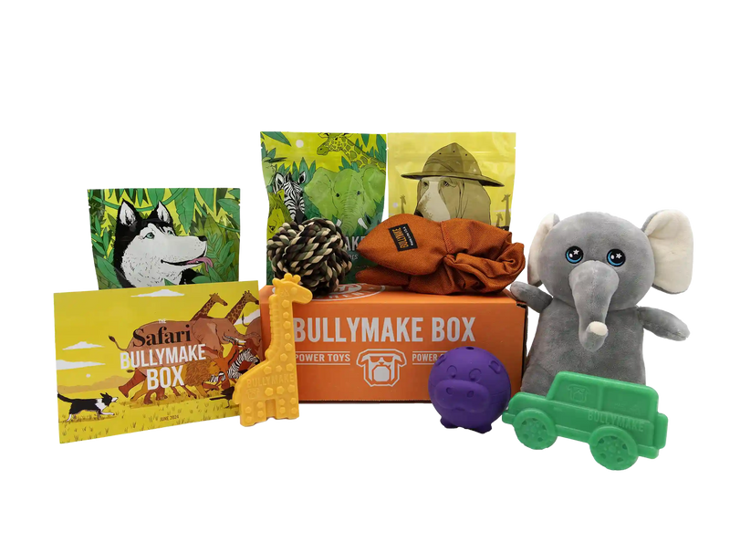 The Safari Bullymake Box