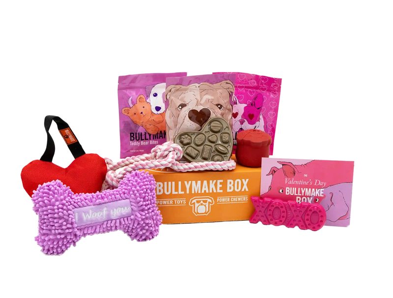 The Valentine's Day Bullymake Box