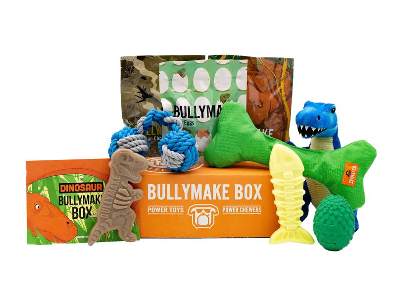 The Dinosaur Bullymake Box