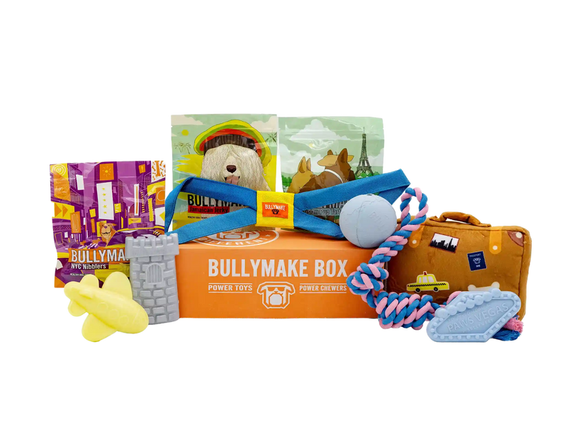 The World Travel Bullymake Box