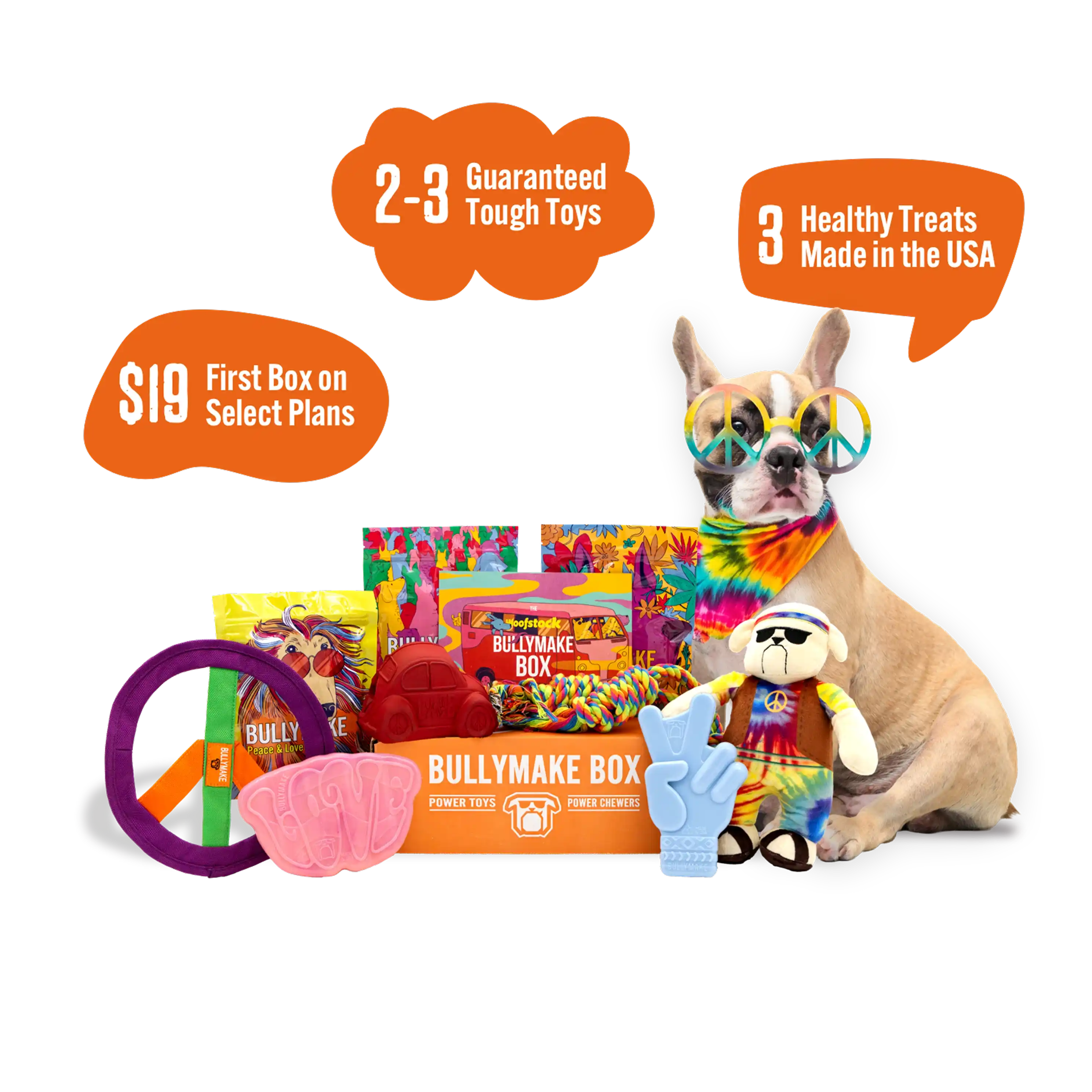 Dog with travel-themed toys, treats, and a 40% off Bullymake Box offer.