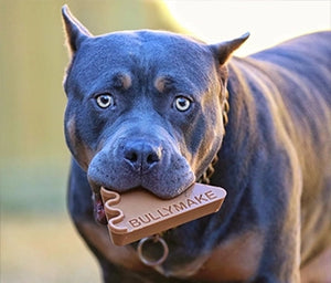 Dog holding a 'BullyMake' chew toy in its mouth with a blurred natural background