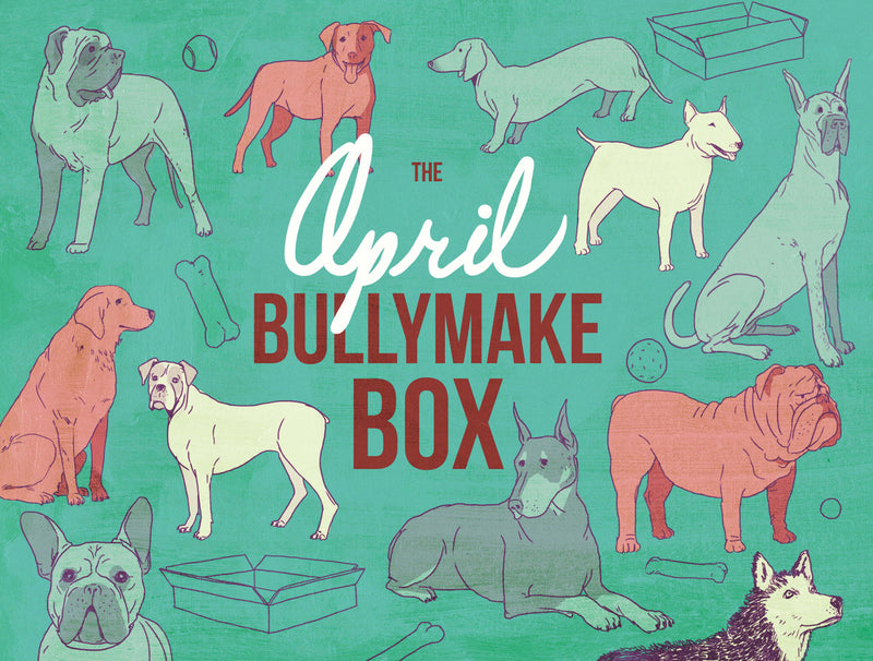 The April Bullymake Box