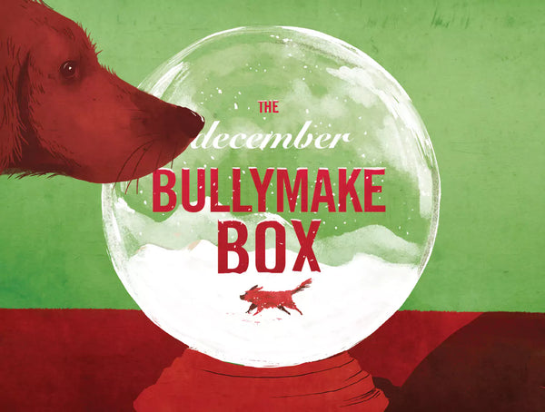 The December Bullymake Box 
