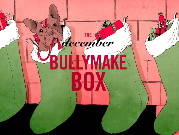 The December Bullymake Box