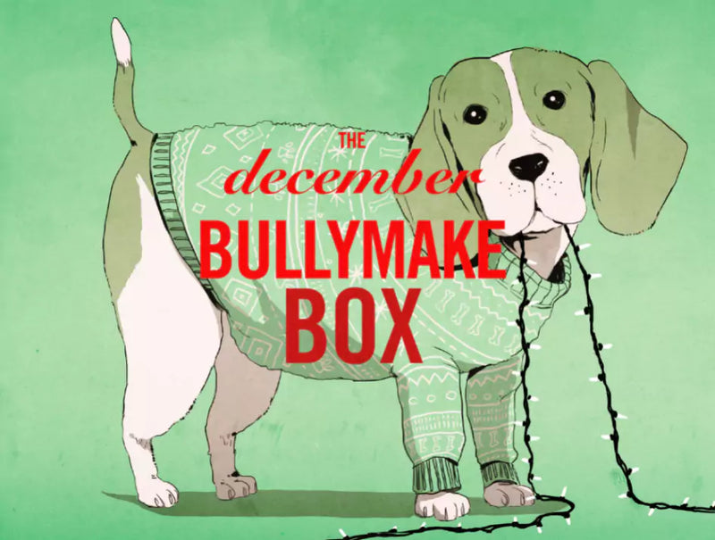 The December Bullymake Box