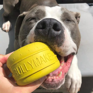 Dog holding a yellow BULLYMAKER toy in its mouth.