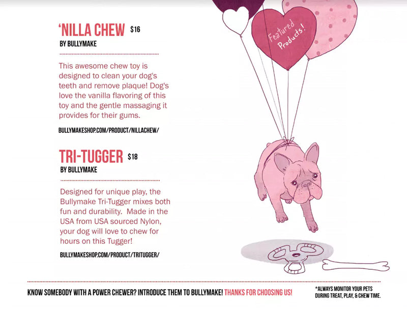 The February Bullymake Box