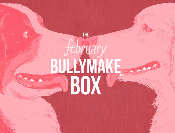 The February Bullymake Box