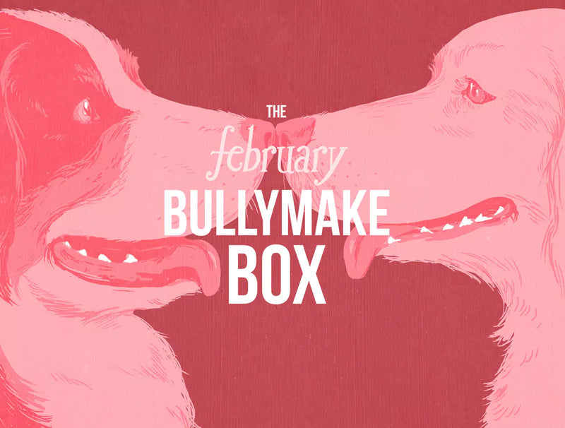The February Bullymake Box