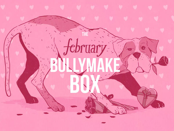 The February Bullymake Box