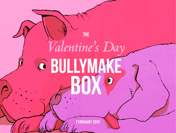 The Valentine's Day Bullymake Box