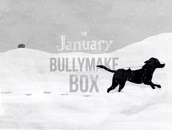 The January Bullymake Box