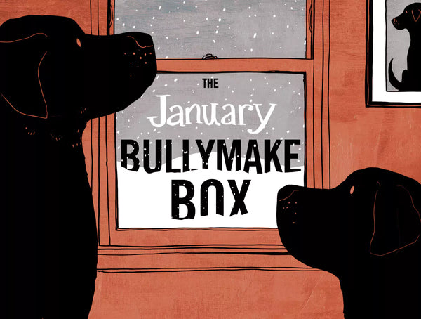 The January Bullymake Box