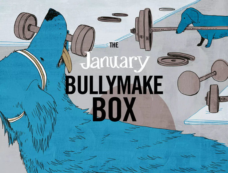 The January Bullymake Box
