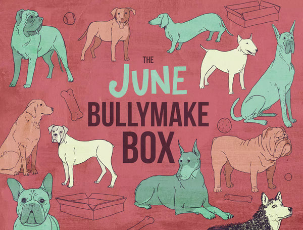 The June Bullymake Box