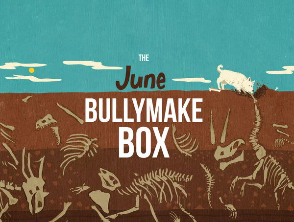The June Bullymake Box