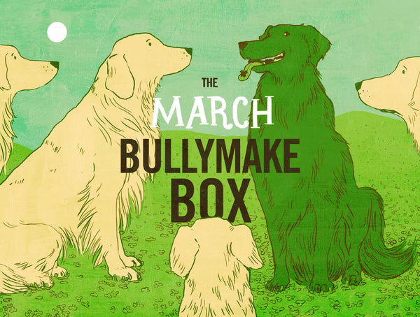 The March Bullymake Box