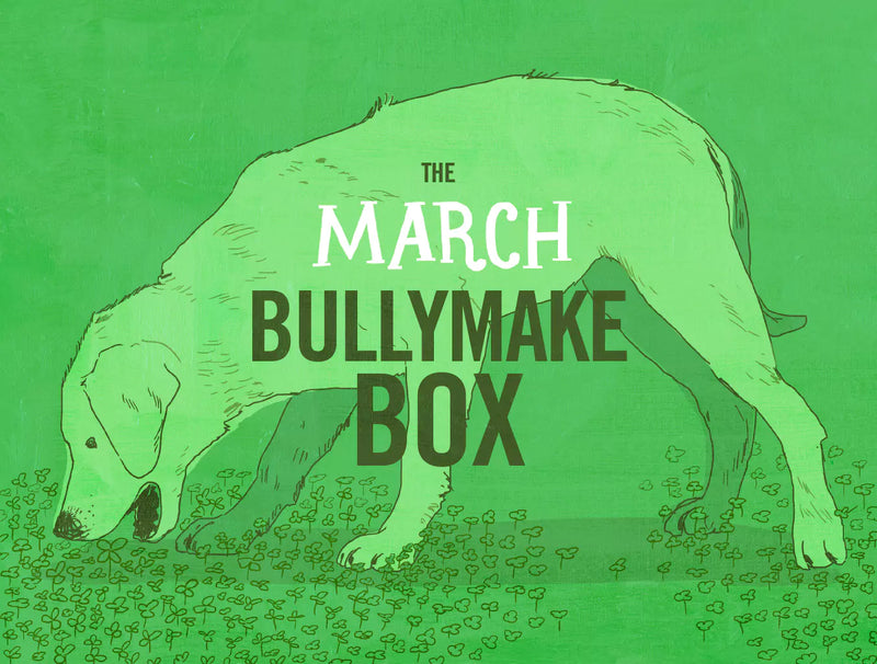 The March Bullymake Box