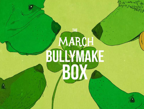 The March Bullymake Box