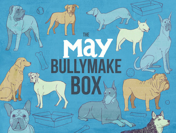 The May Bullymake Box