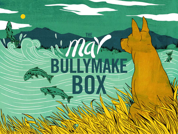The May Bullymake Box