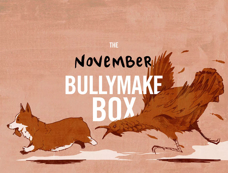 The November Bullymake Box