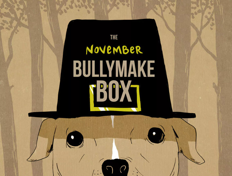 The November Bullymake Box