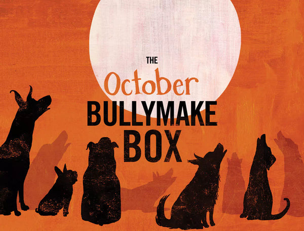 The October Bullymake Box