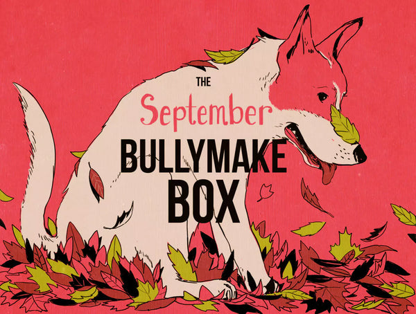 The September Bullymake Box