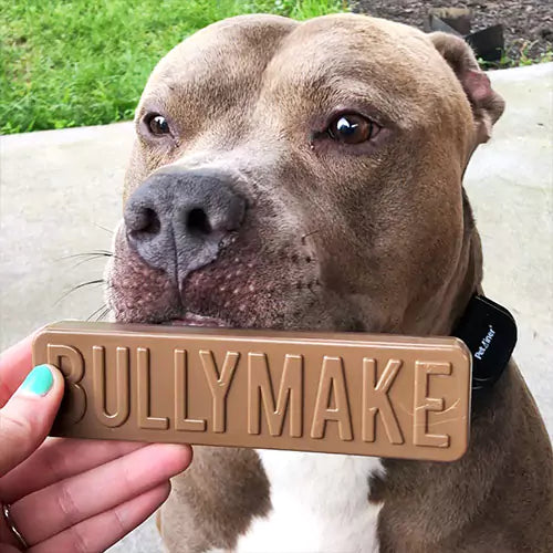 Bullymake Affiliate Program